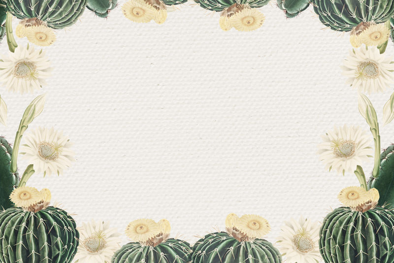 复古绿仙人掌与花框纸纹理背景设计元素
