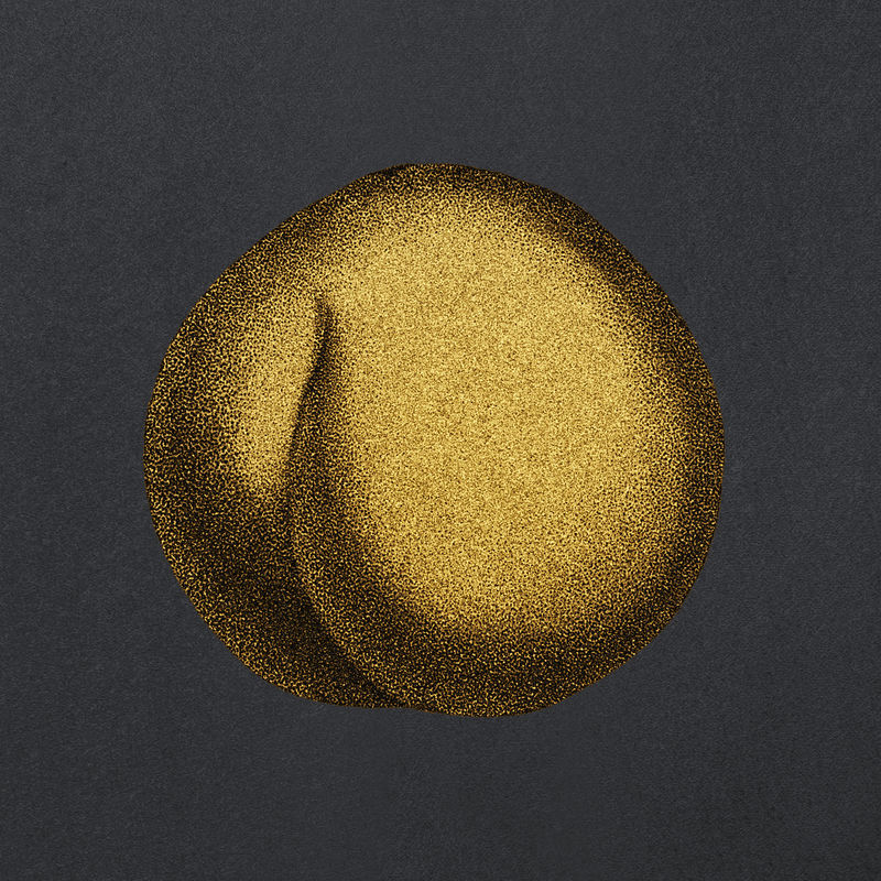 复古金花设计元素