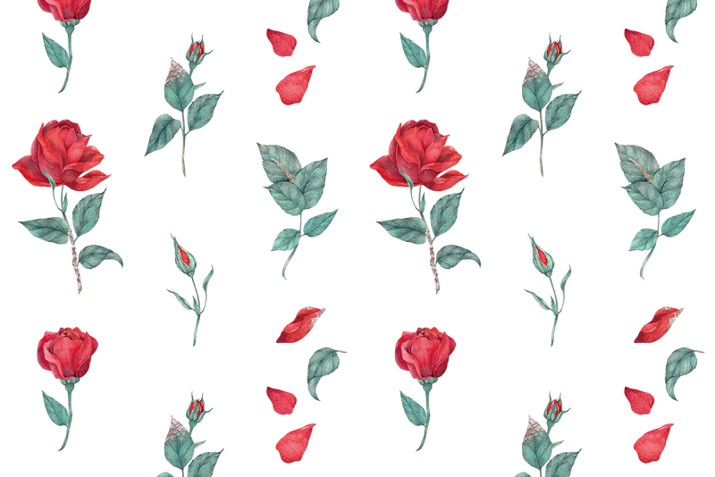 盛开的红玫瑰图案png透明背景