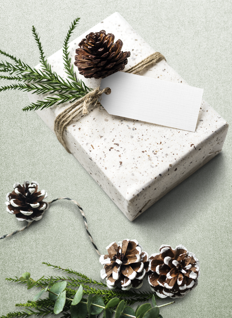 圣诞png礼品标签模型