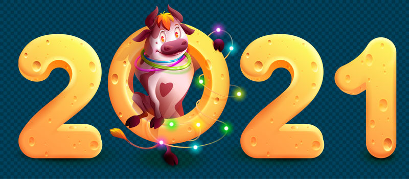 2021年是中国农历的牛年。有趣可爱的公牛拿着奶酪2021号