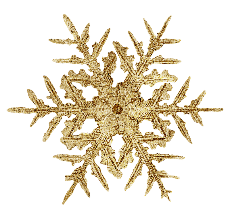 季节\u0026rsquo;问候金雪花png圣诞饰品宏摄影Wilson Bentley摄影混音