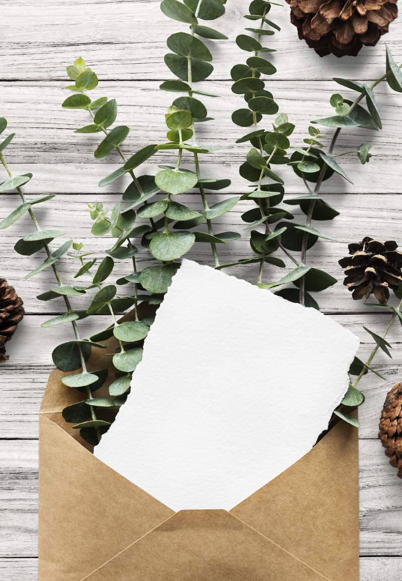 卡片png模型在信封和树叶