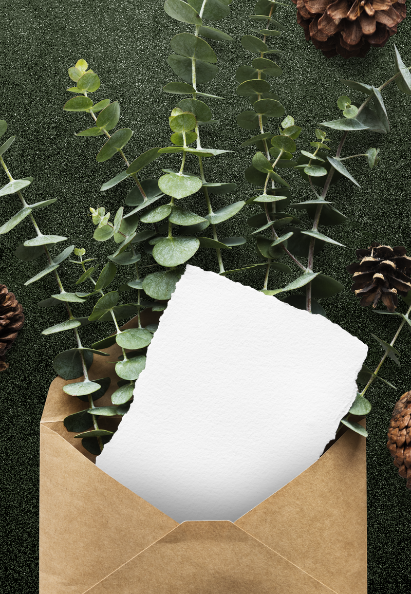 卡片png模型在信封和树叶