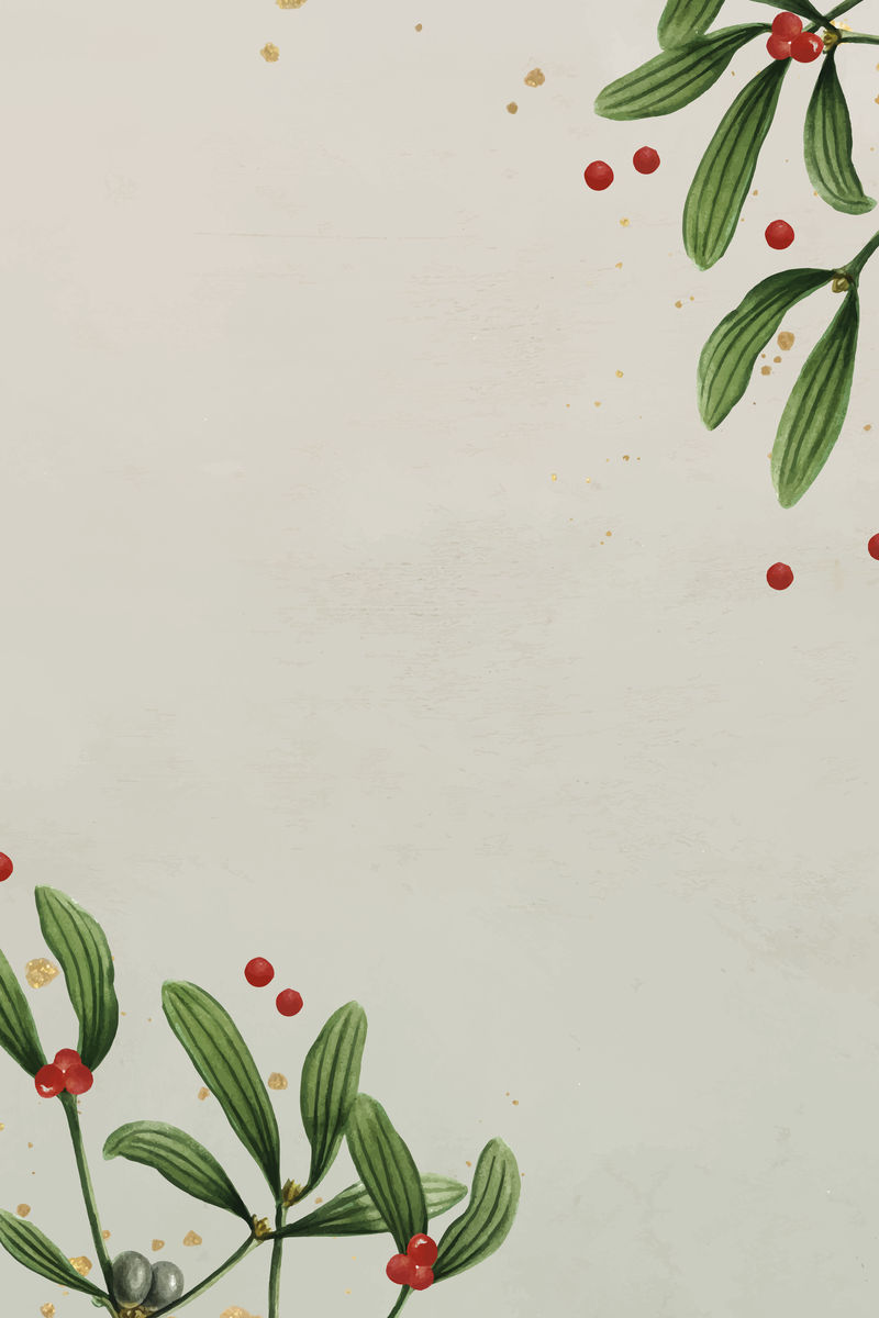 节日圣诞框架设计向量