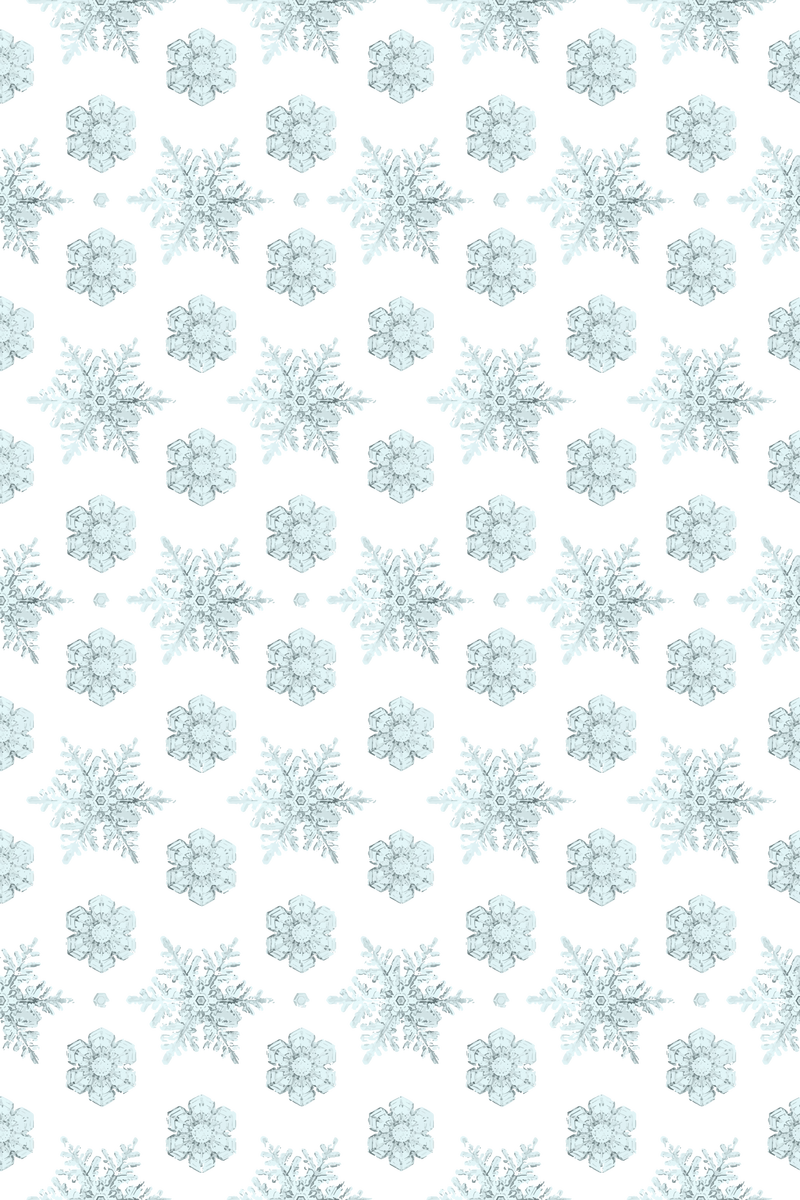 冬季png雪花无缝图案背景威尔森·本特利摄影混音