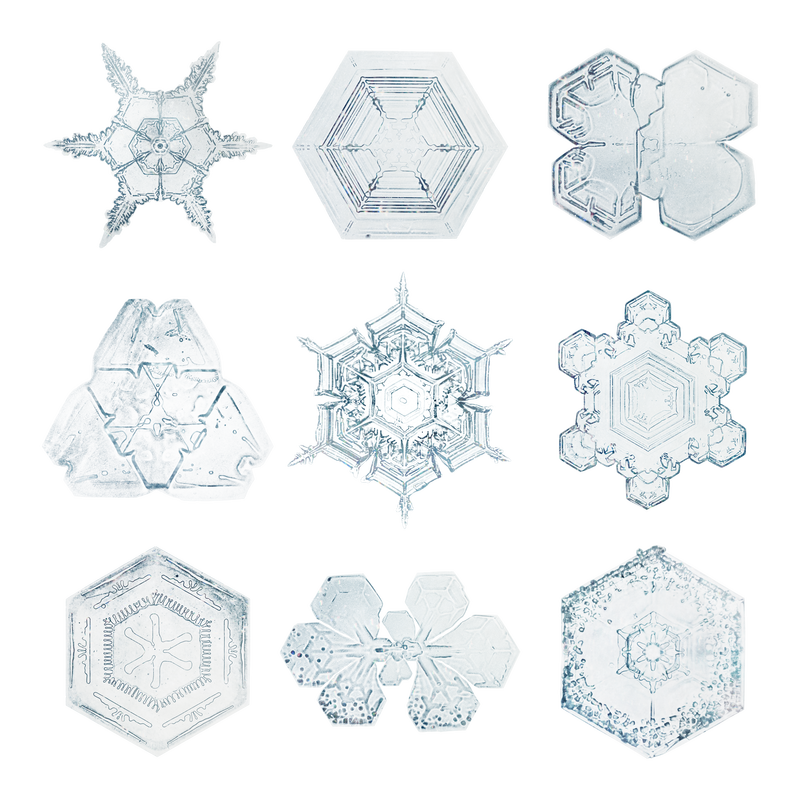 雪花透明集圣诞饰品宏观摄影威尔森本特利摄影混音