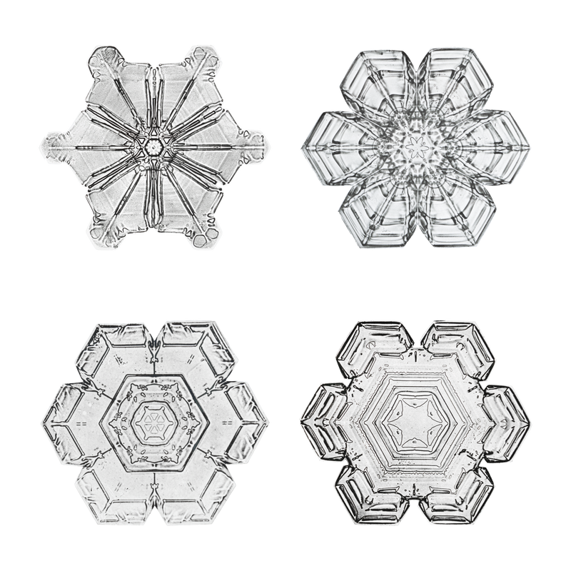 冰天雪地png集圣诞饰品宏摄威尔森·本特利摄影混音