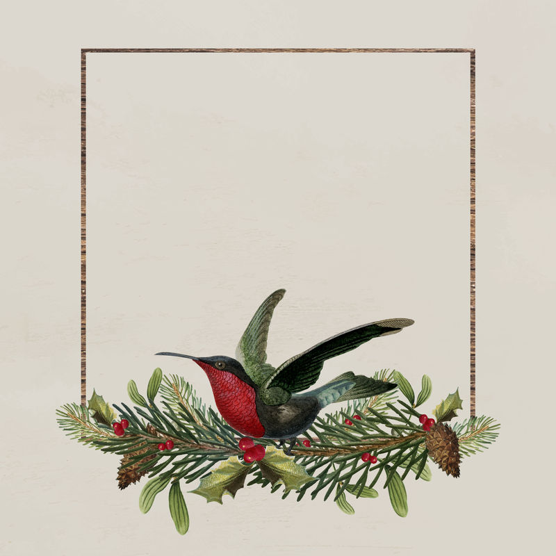 空白节日广场圣诞社交广告模板向量