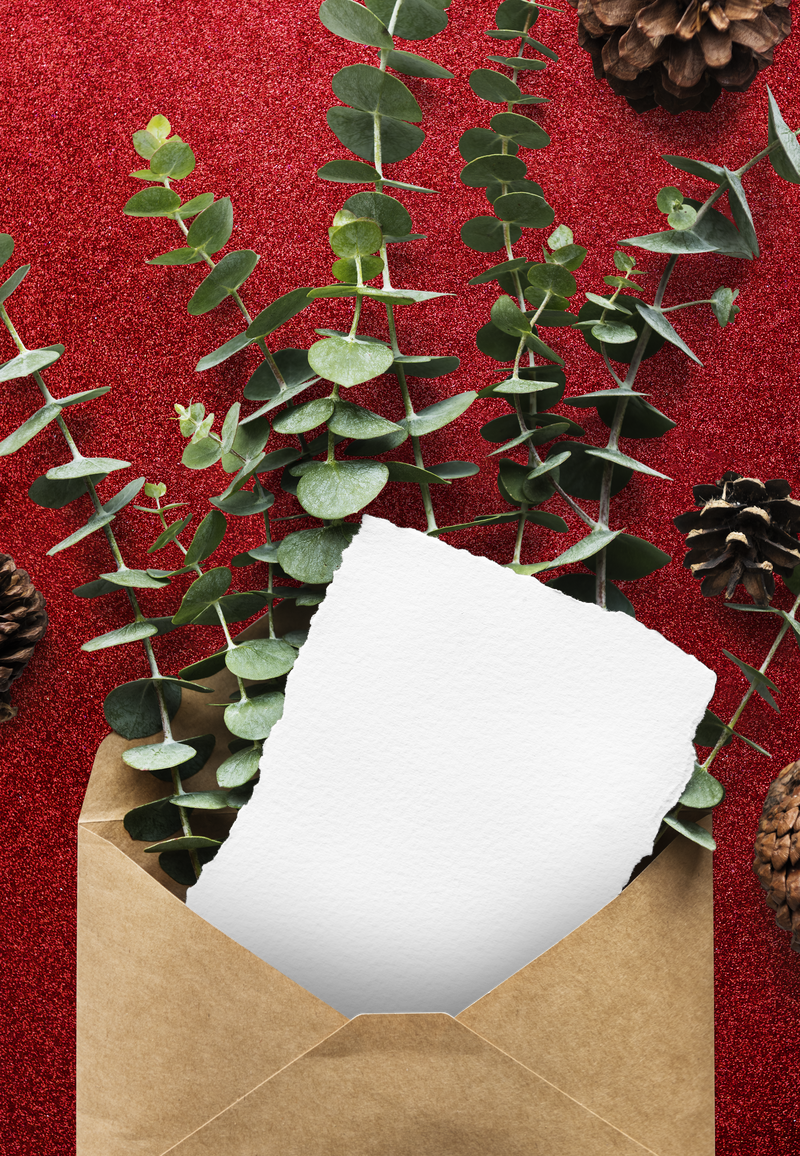 卡片png模型在信封和树叶