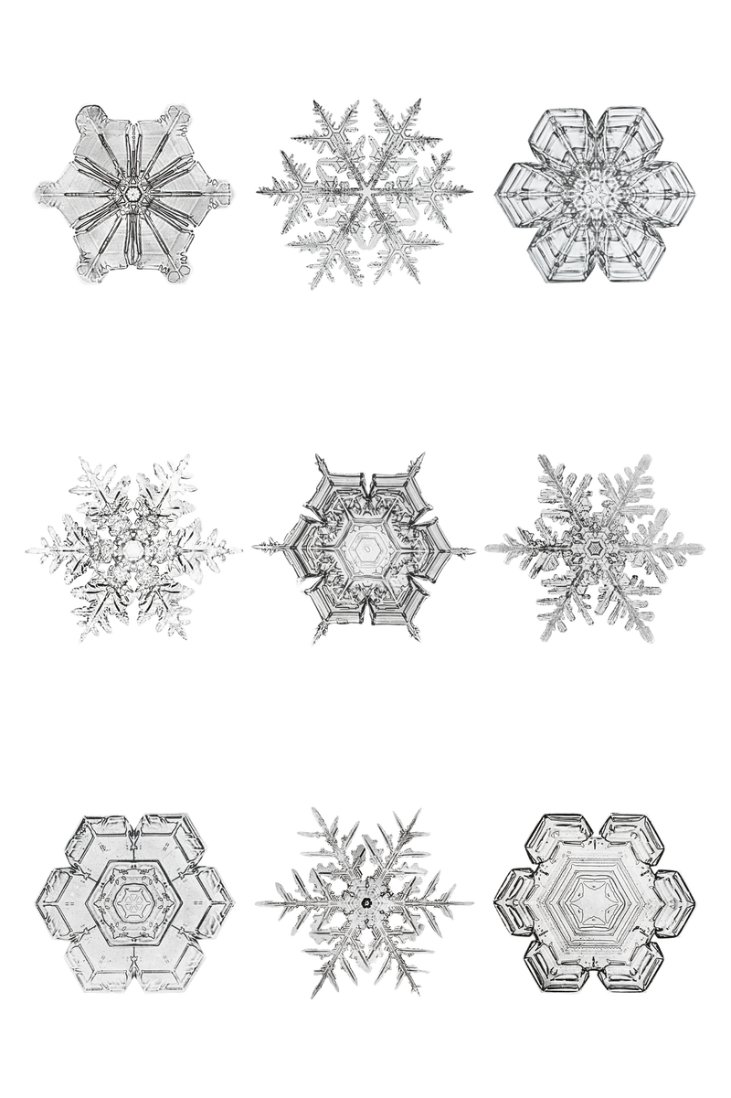 雪花透明集季节\u0026rsquo;的问候装饰宏观摄影威尔森·本特利的混合摄影