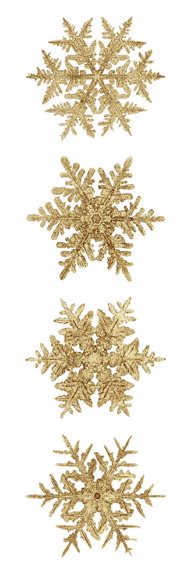 季节\u0026rsquo;问候金雪花png圣诞饰品宏摄影集Wilson Bentley摄影混音