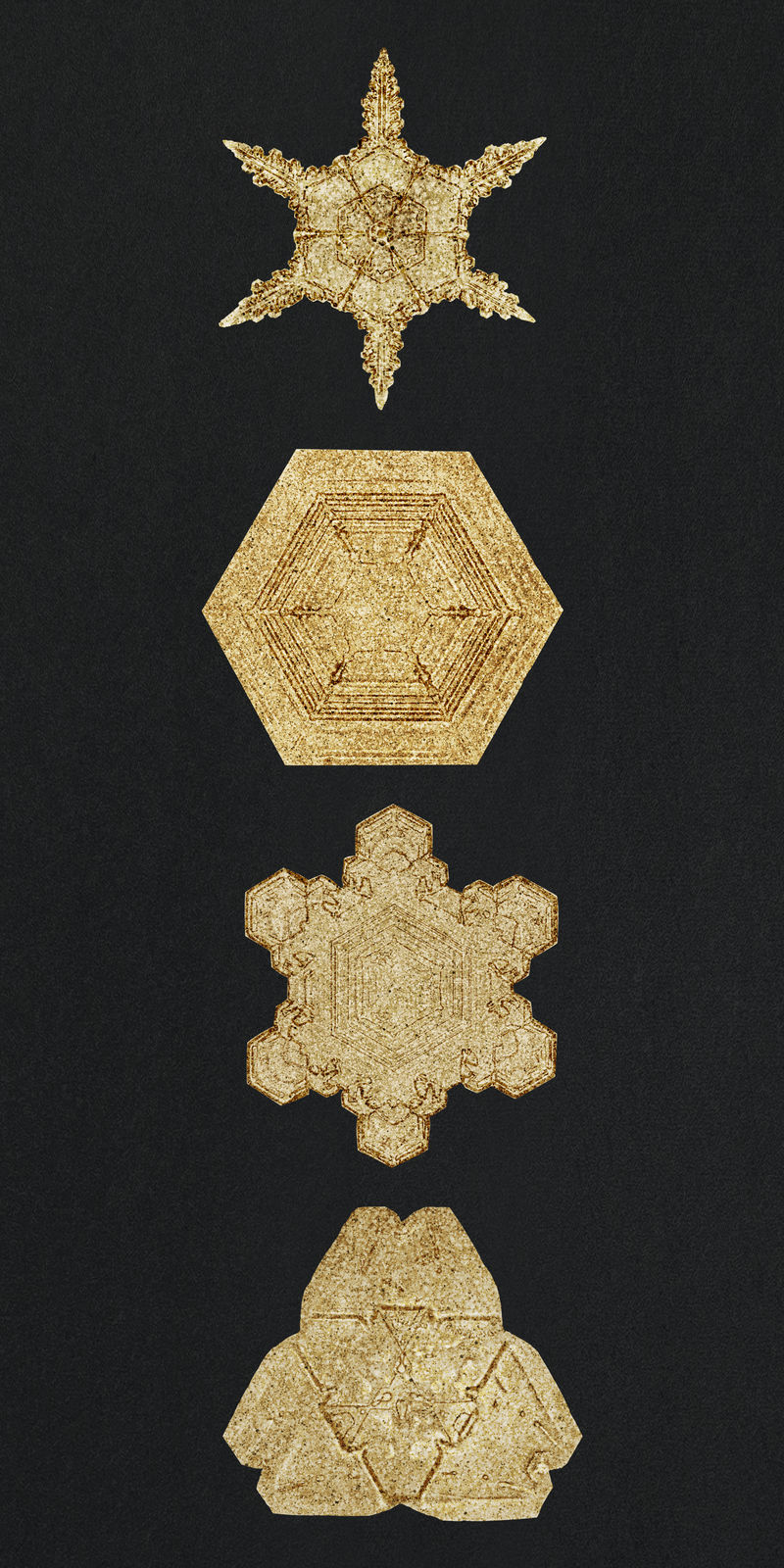 Season\u0026rsquo;问候金雪花psd宏摄影集Wilson Bentley混合艺术