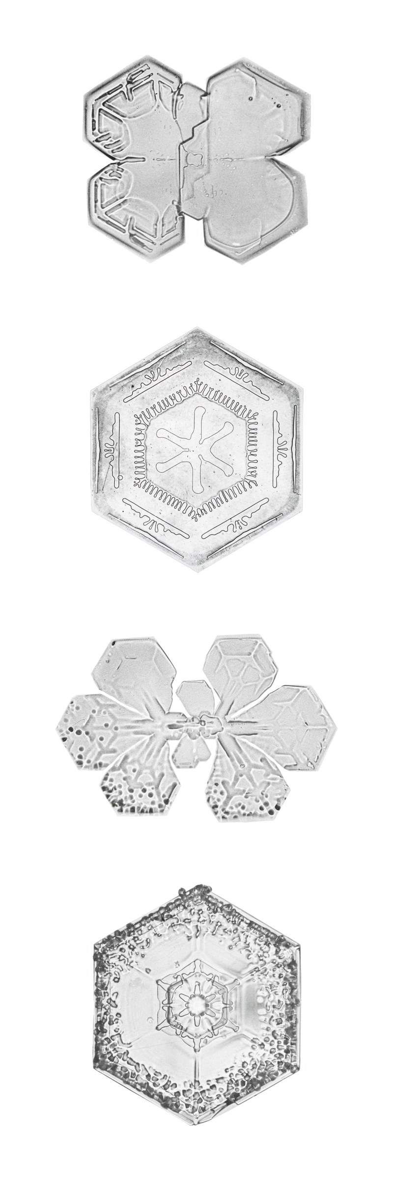 雪花png集圣诞饰品宏观摄影威尔森·本特利摄影混音