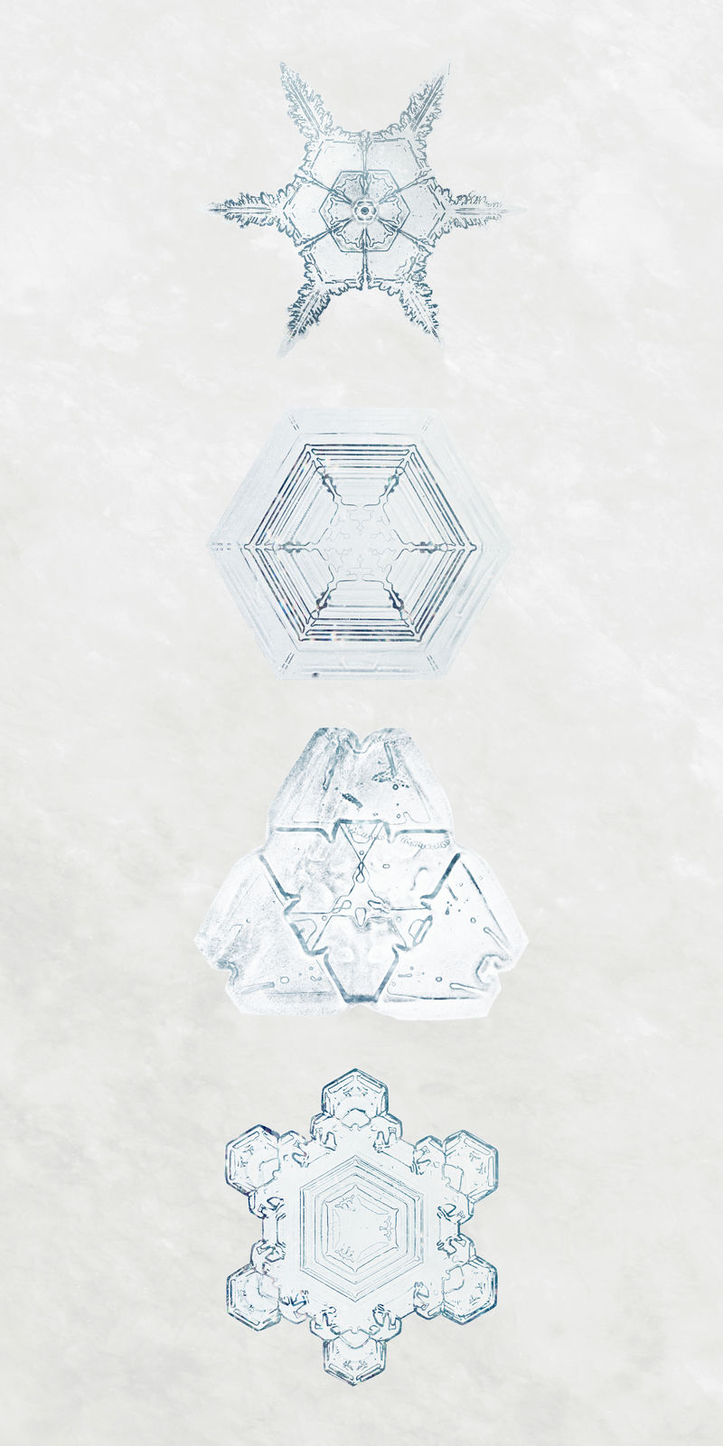 冰天雪地psd微距摄影集威尔森·本特利的艺术混搭