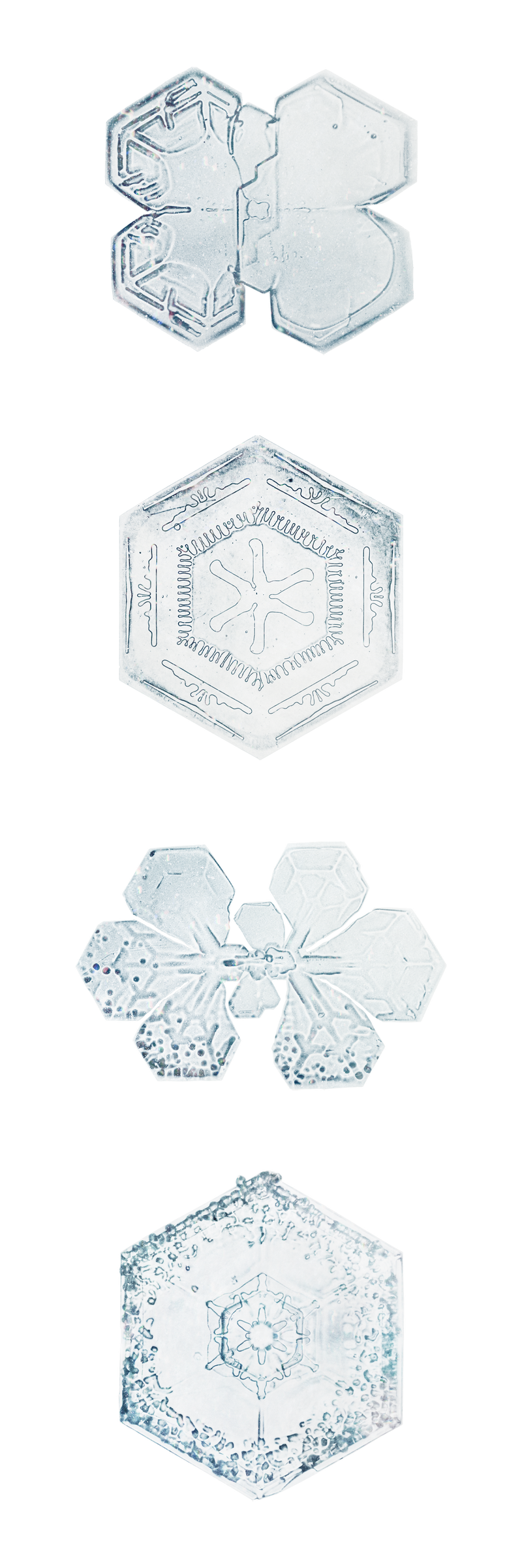 冰天雪地png集宏观摄影威尔森·本特利的艺术混搭