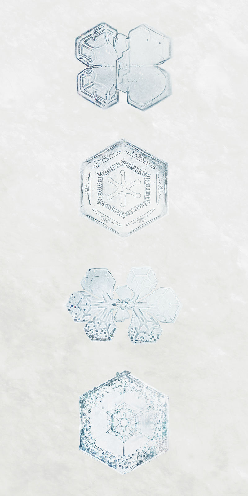 冬季金色雪花psd宏摄影集威尔森·本特利艺术混搭