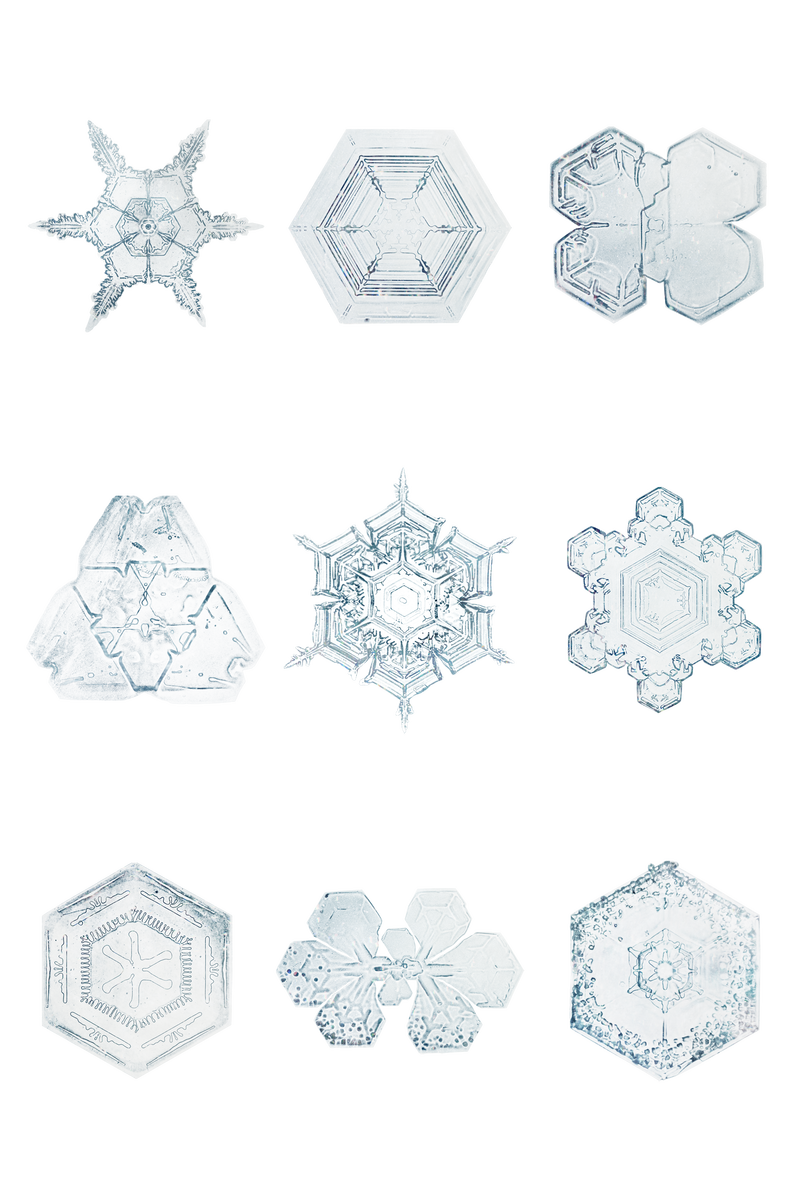 冰天雪地png集宏观摄影威尔森·本特利的艺术混搭