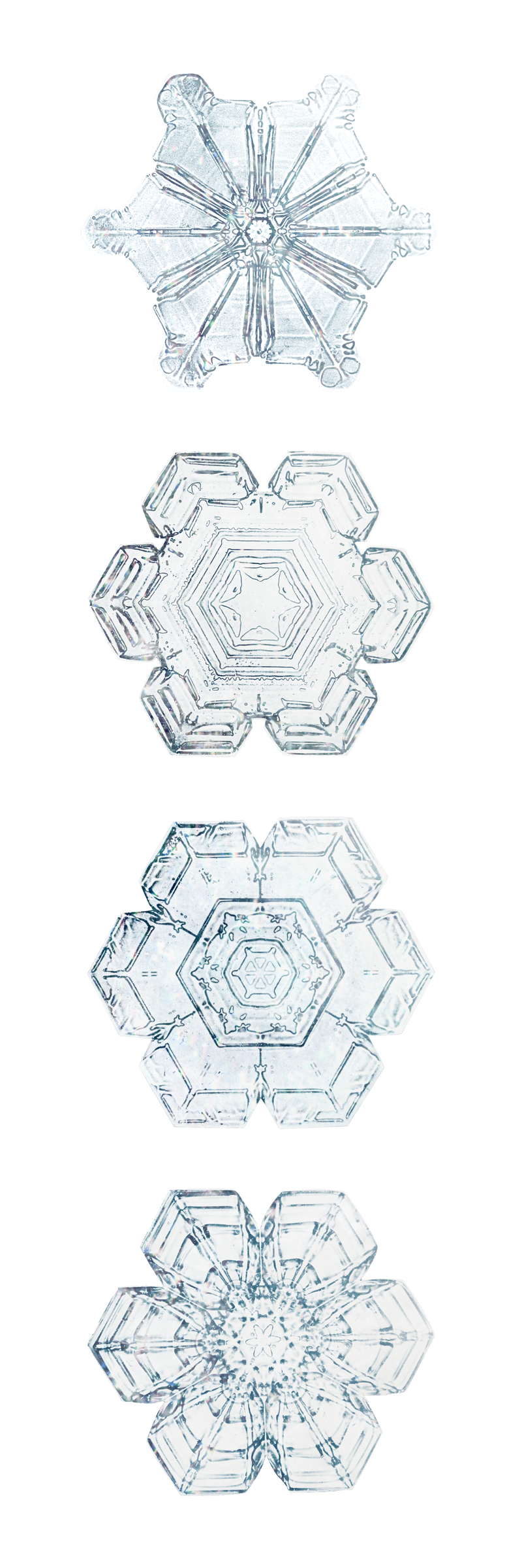 雪花透明集圣诞饰品宏观摄影威尔森本特利摄影混音