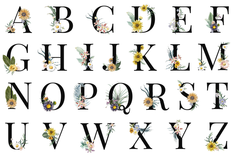 花卉a-z字母字母字母png套装