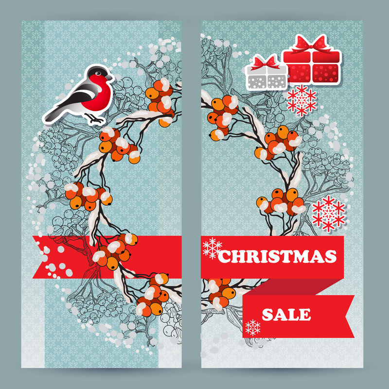 金翅雀，礼物，雪花，罗文枝。