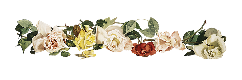 盛开彩花透明png