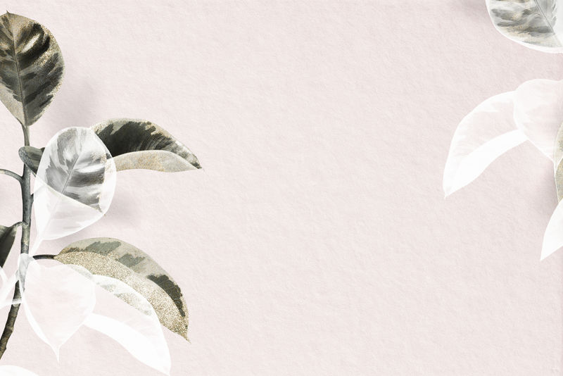 印度橡胶厂psd粉色背景设计空间