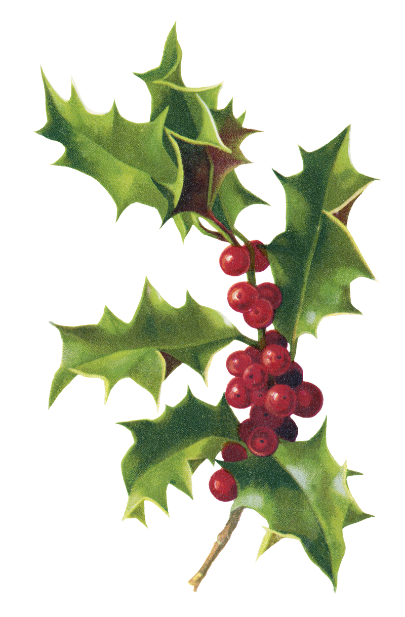 复古圣诞浆果贴纸插图png来自artworks的混音