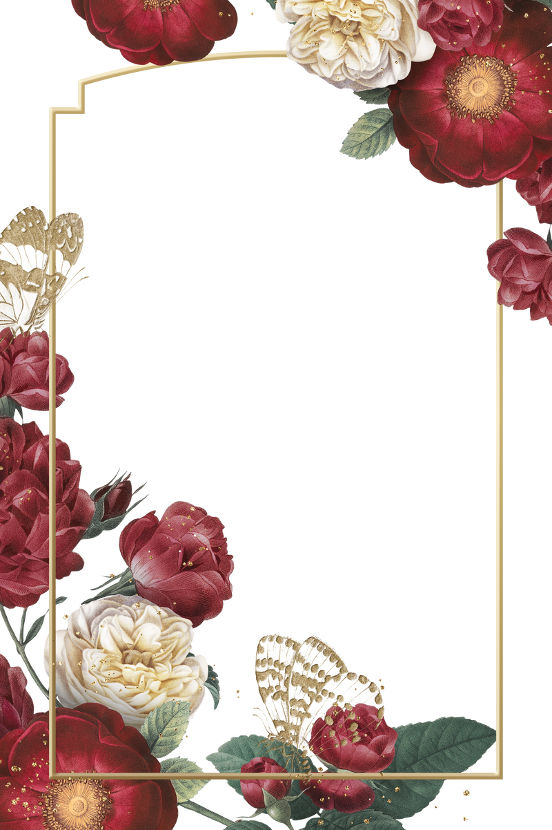 豪华红玫瑰png金框水彩插画素材 高清图片 摄影照片 寻图免费打包下载