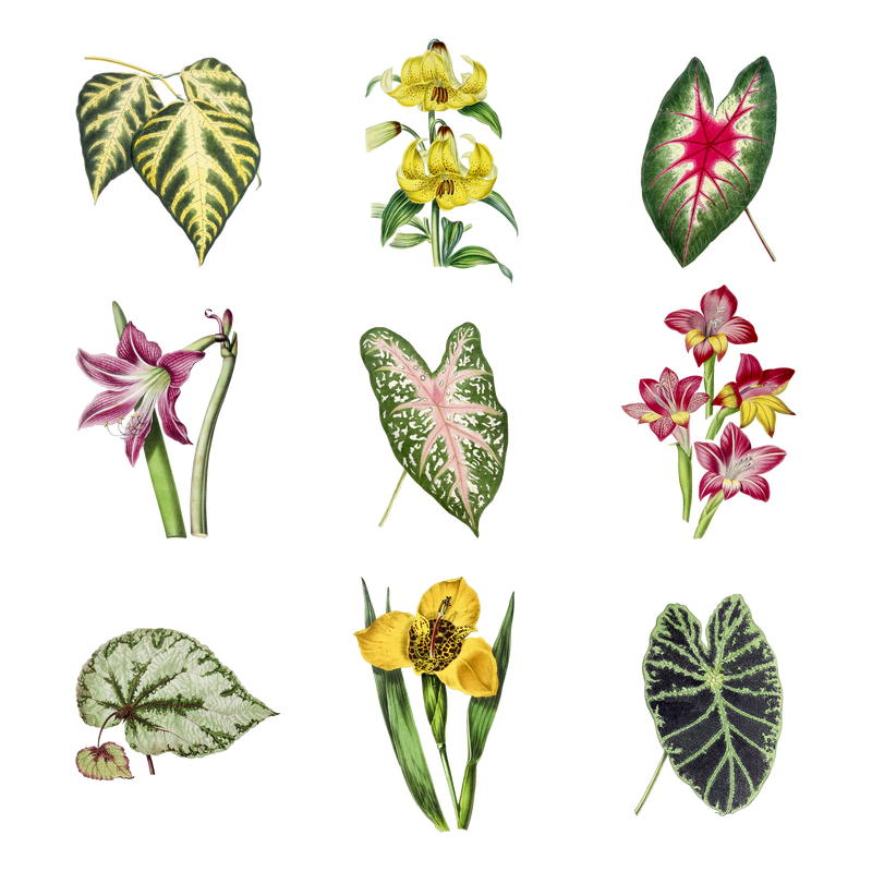 葡萄酒酿造厂设计元素集