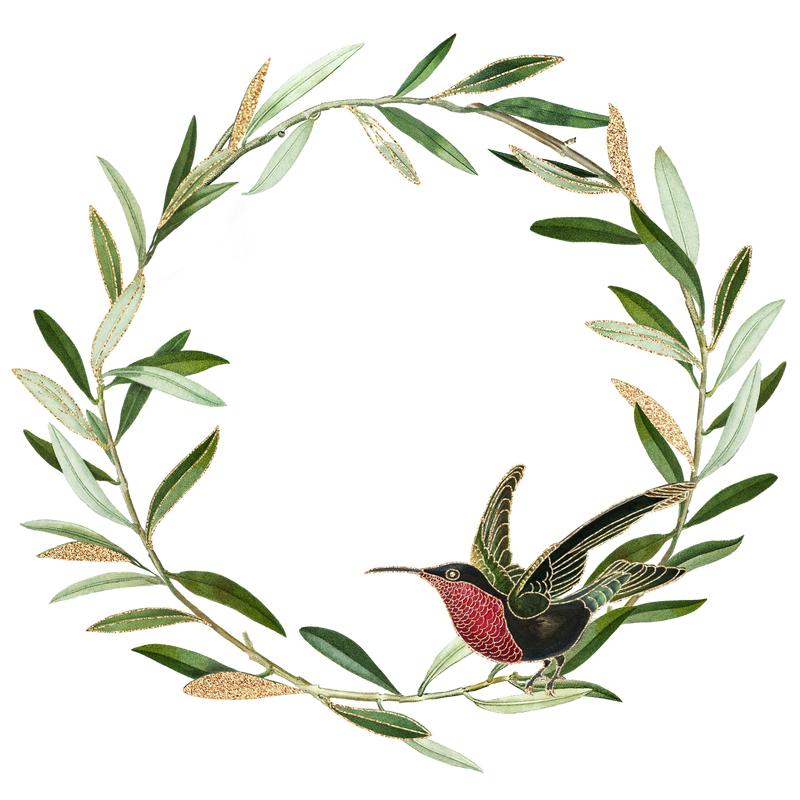 橄榄枝花环巴布亚新几内亚\/绿色植物