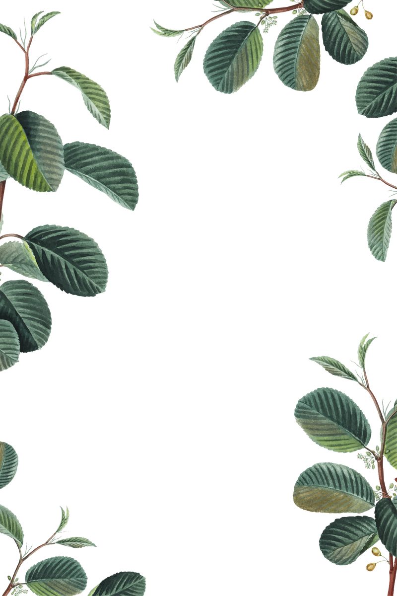 Png绿叶边框手绘插图