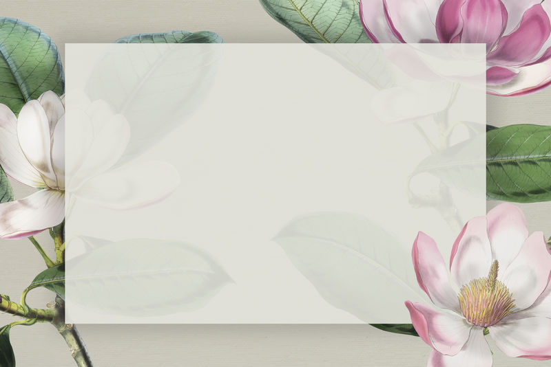 粉色花朵框架向量