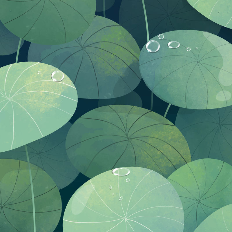 绿叶小叶背景向量