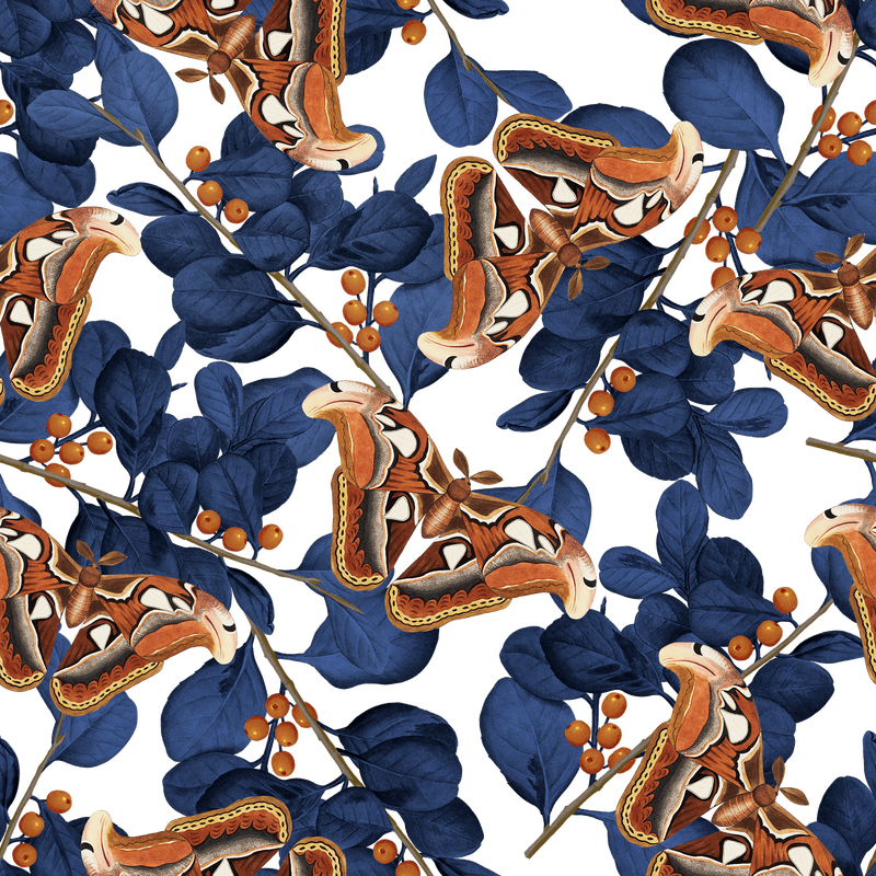 无缝蝴蝶花png图案复古混搭自乔治·肖的《自然主义者》杂志