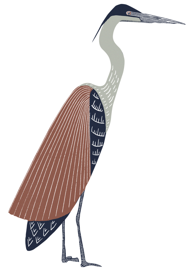 复古鹭鸟png贴纸手绘系列