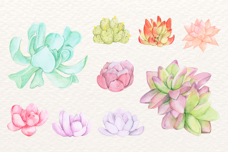 沙漠仙人掌植物矢量贴纸套装