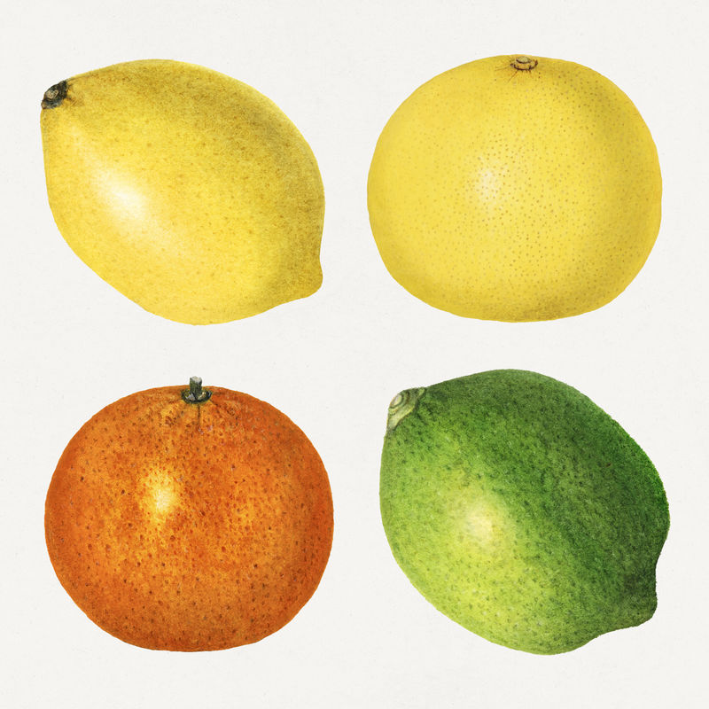 精致手绘新鲜混合柑橘套装