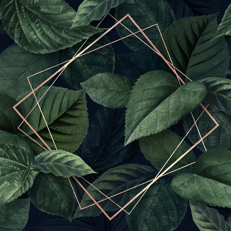 多叶背景向量上的菱形框架