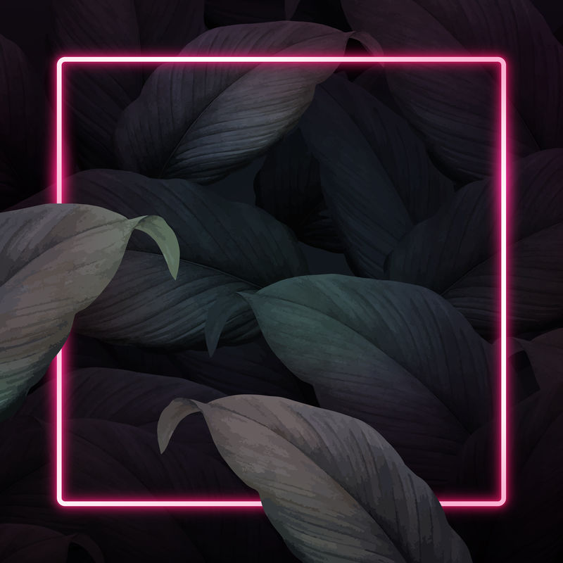 方形粉红色霓虹灯框架热带树叶背景向量