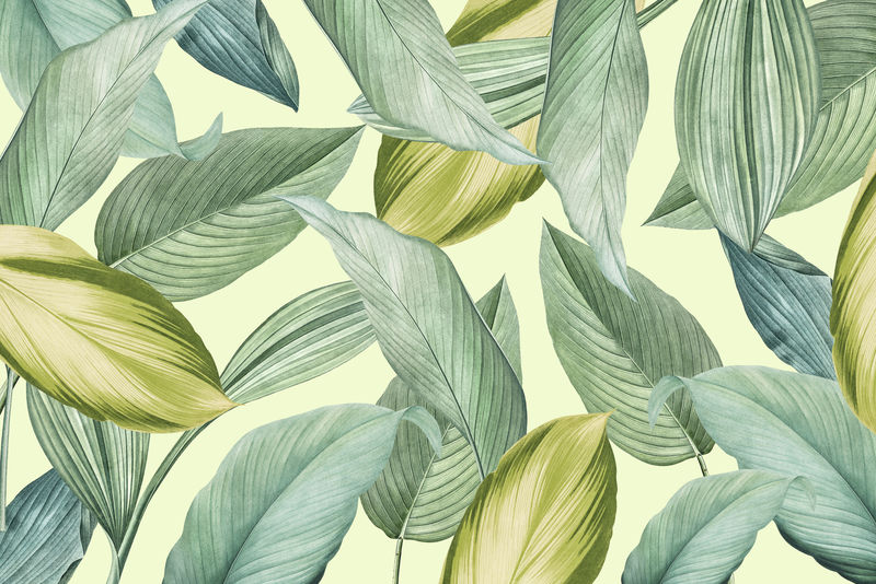 绿色热带树叶图案背景