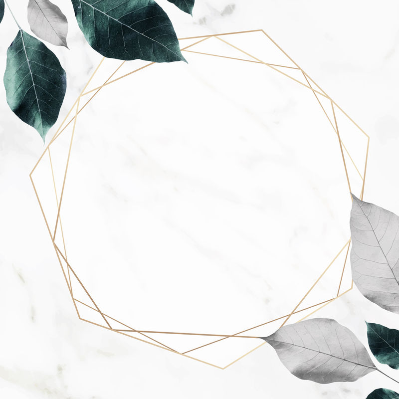 六边形金框金属叶子图案背景向量