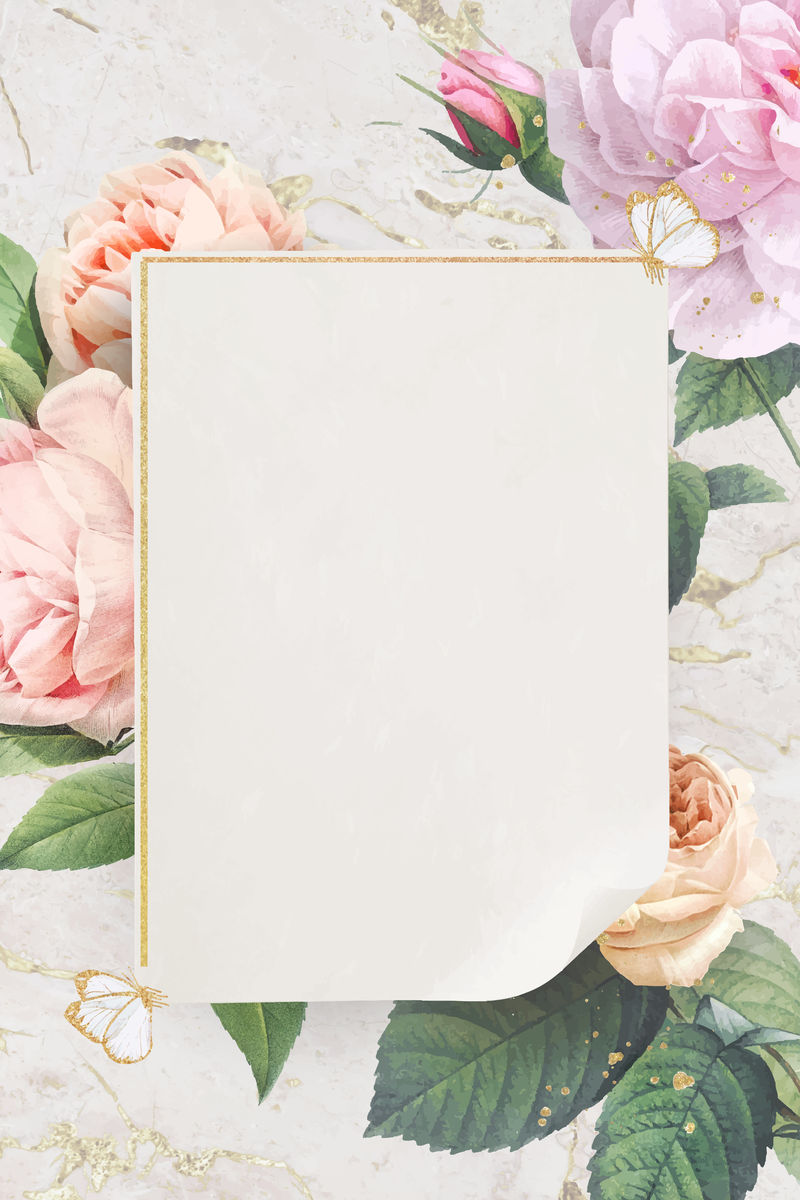 花卉金框设计向量