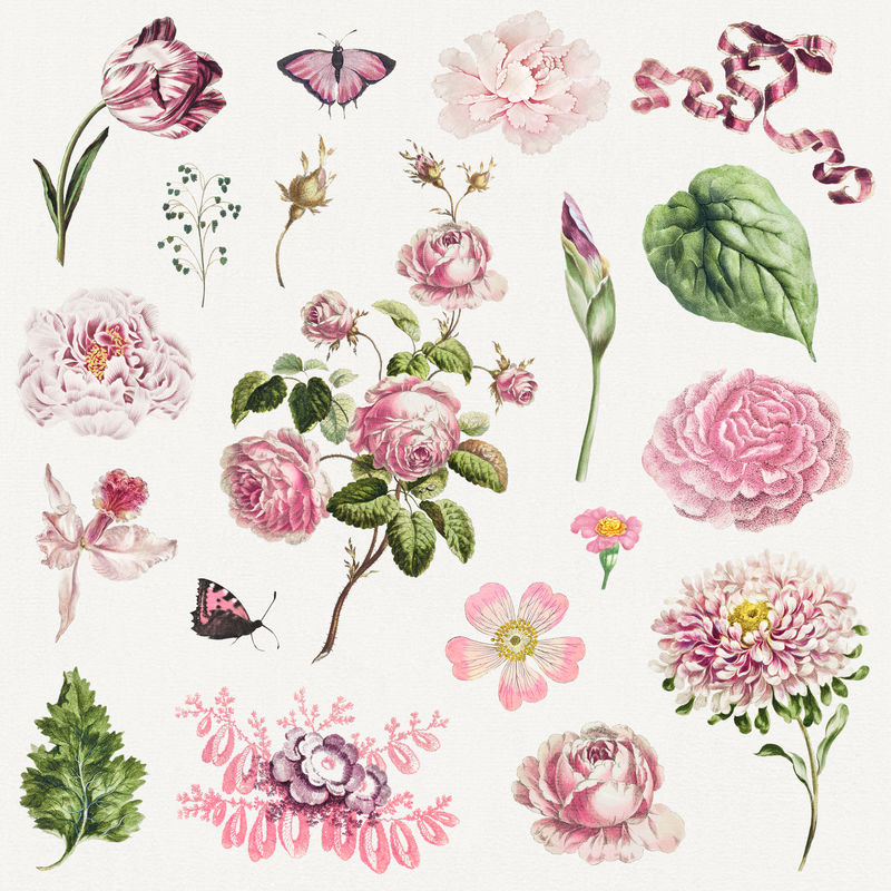 复古植物插图套装