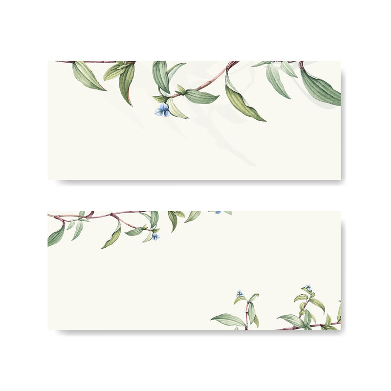 绿色植物叶子背景设计