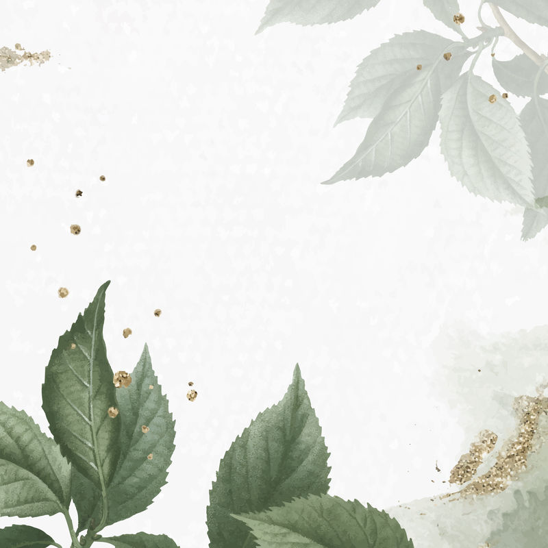 Brian\u0026ccedil；杏叶图案背景向量