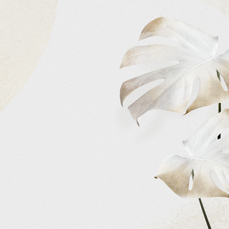 Psd热带多叶自然背景