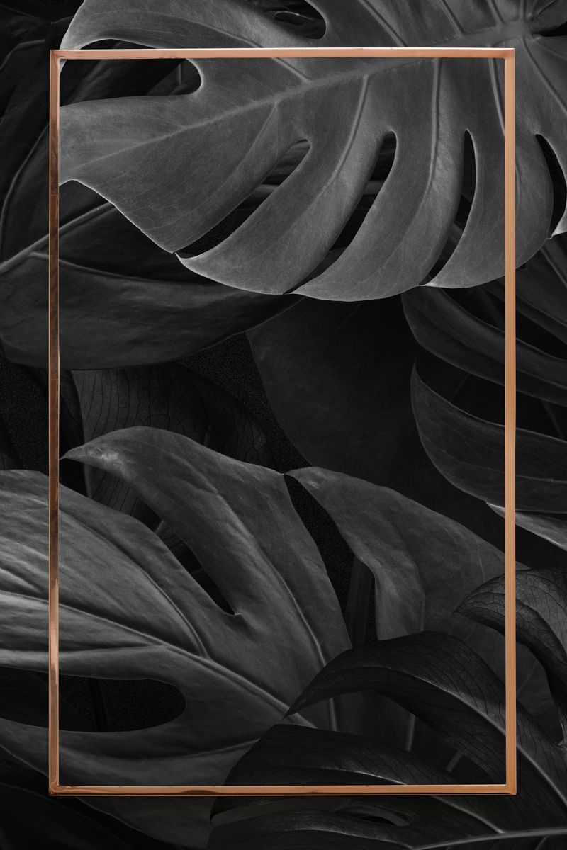 Psd热带金色怪物框架