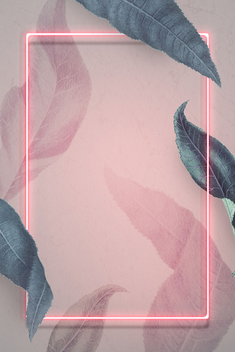 霓虹灯框架桃叶社交模板向量