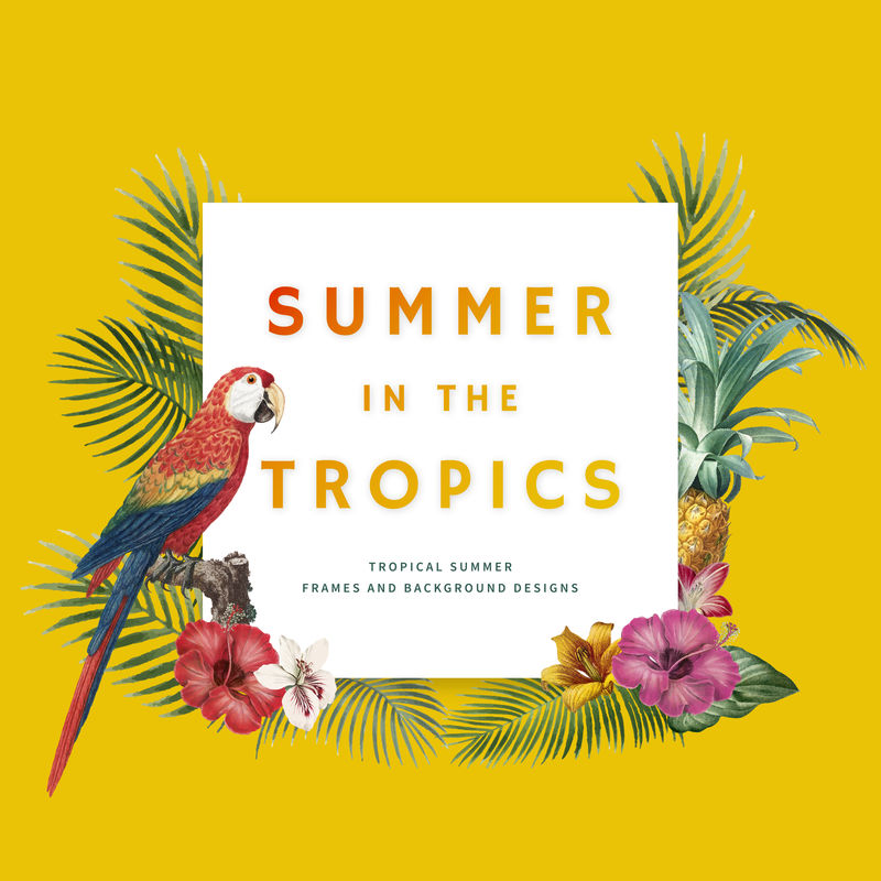 黄色背景热带方形框架插图